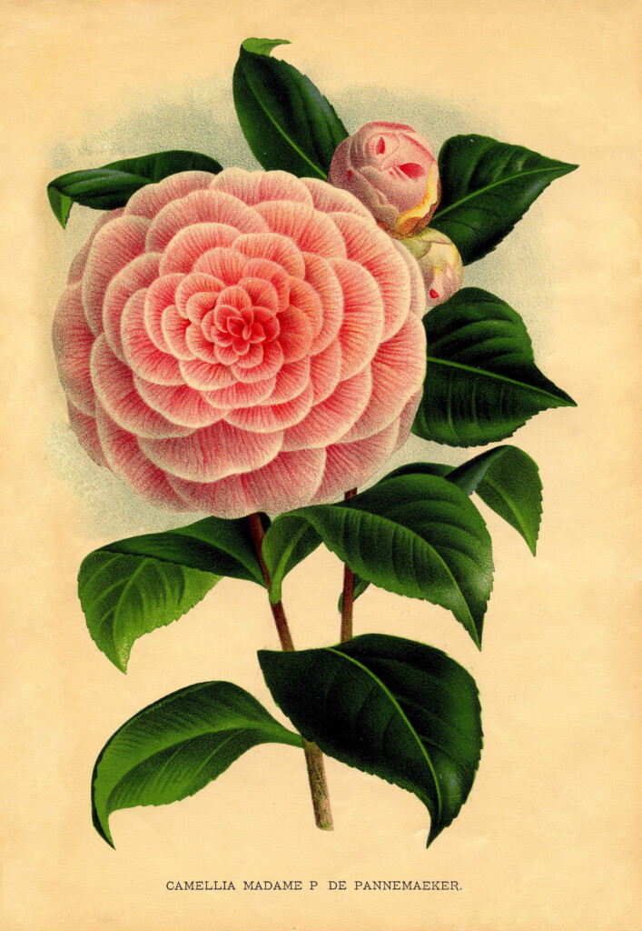 40 Free Art Printables For Gallery Walls Remodelaholic