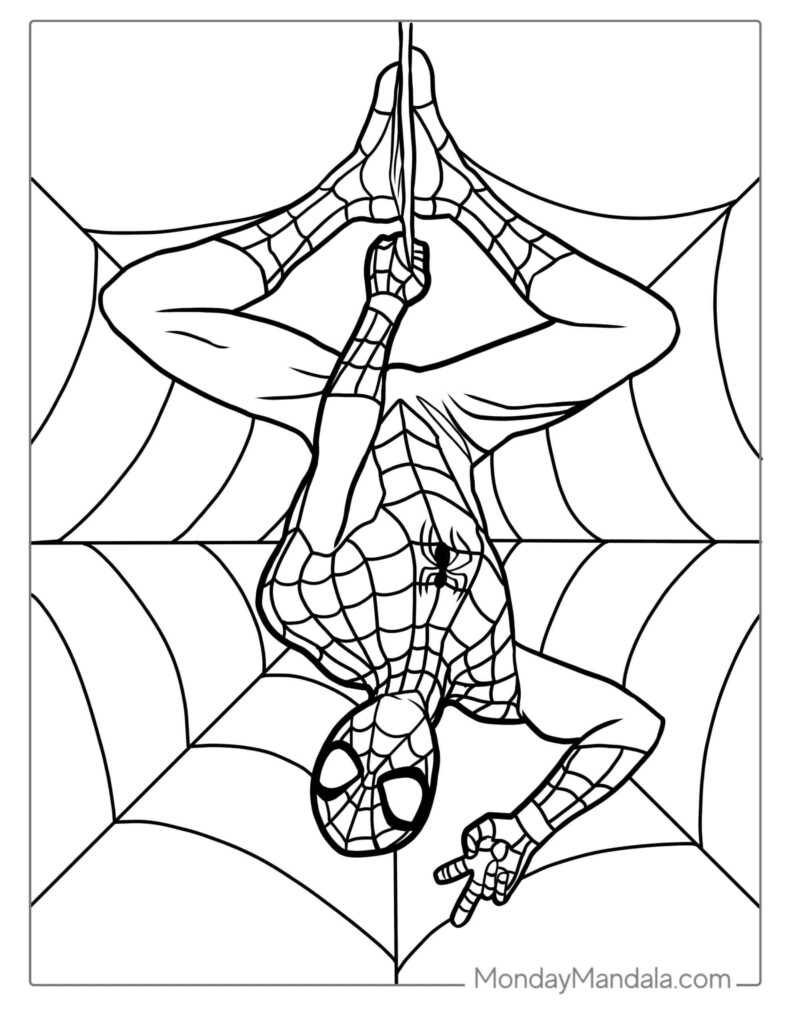 40 Spider Man Coloring Pages Free PDF Printables Spider Coloring Page Spiderman Coloring