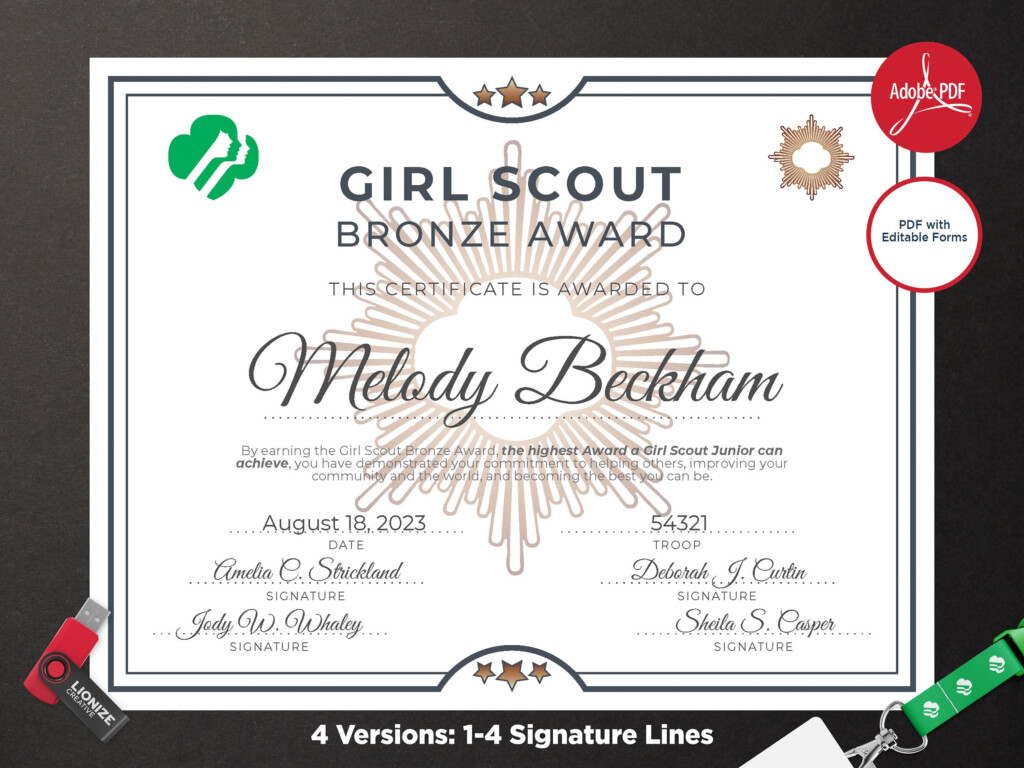 Bronze Award Certificate Free Printable FREE PRINTABLE TEMPLATES