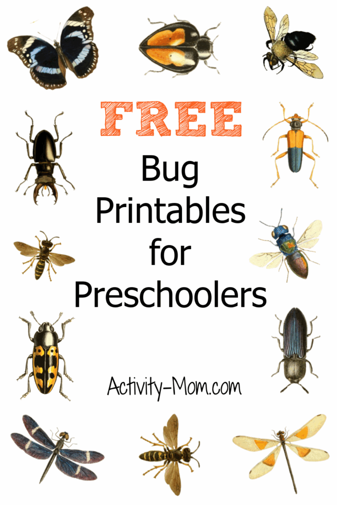 Bug Printables
