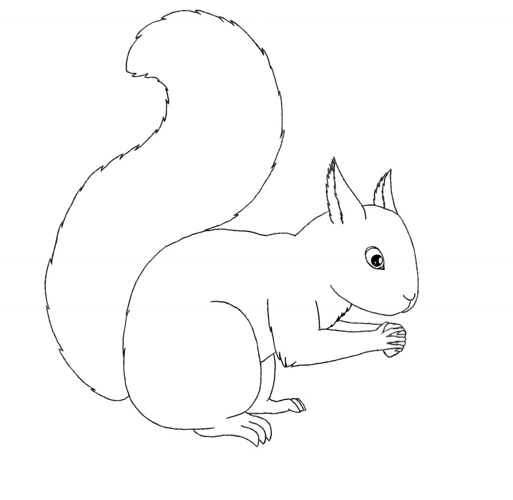 Coloring Pages Squirrel Animal Place