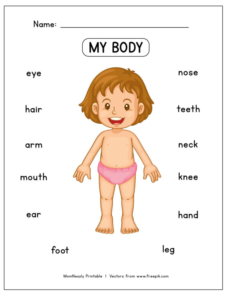 Free Body Part Printables