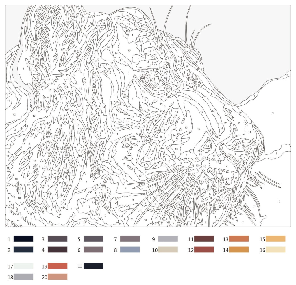 Free Printable Advanced Color By Number Worksheet