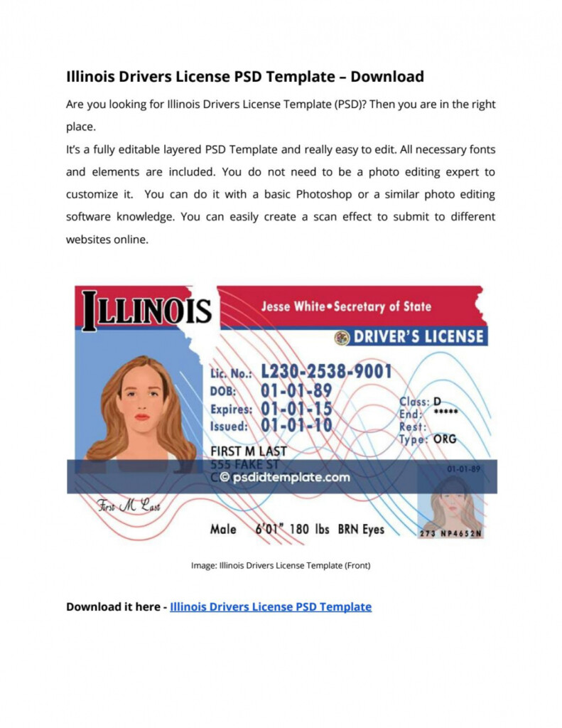 Free Printable Blank Illinois Drivers License Template FREE Printable A Z