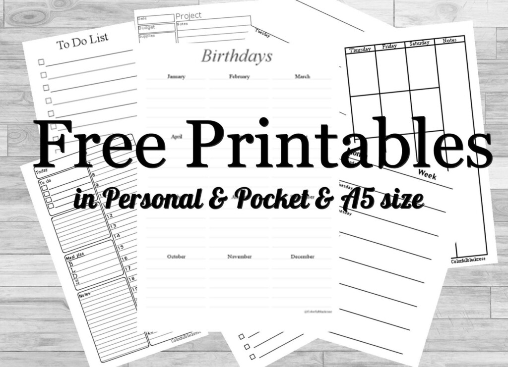 Free Printable Small Pocket Calendar 2025 Misty Teressa