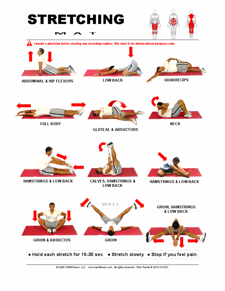 Free Printable Stretching Exercises