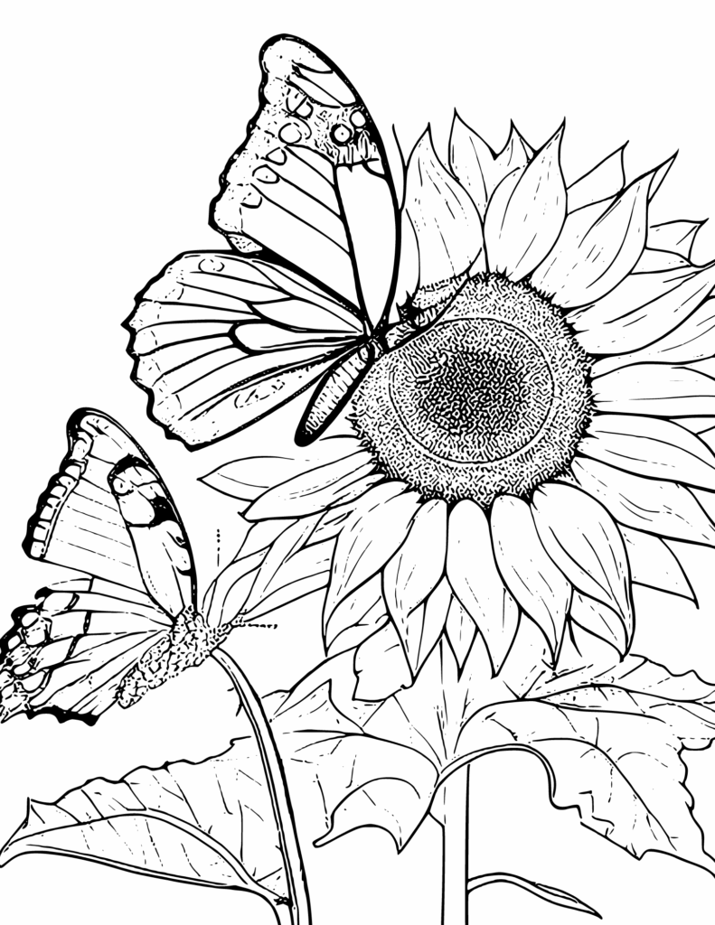 Free Sunflower Coloring Pages For Adults And Kids