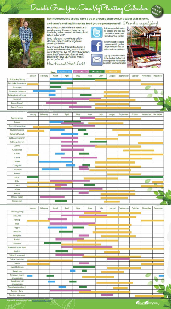 Grow Your Own Veg With My Planting Calendar David Domoney Planting Calendar Vegetable Garden