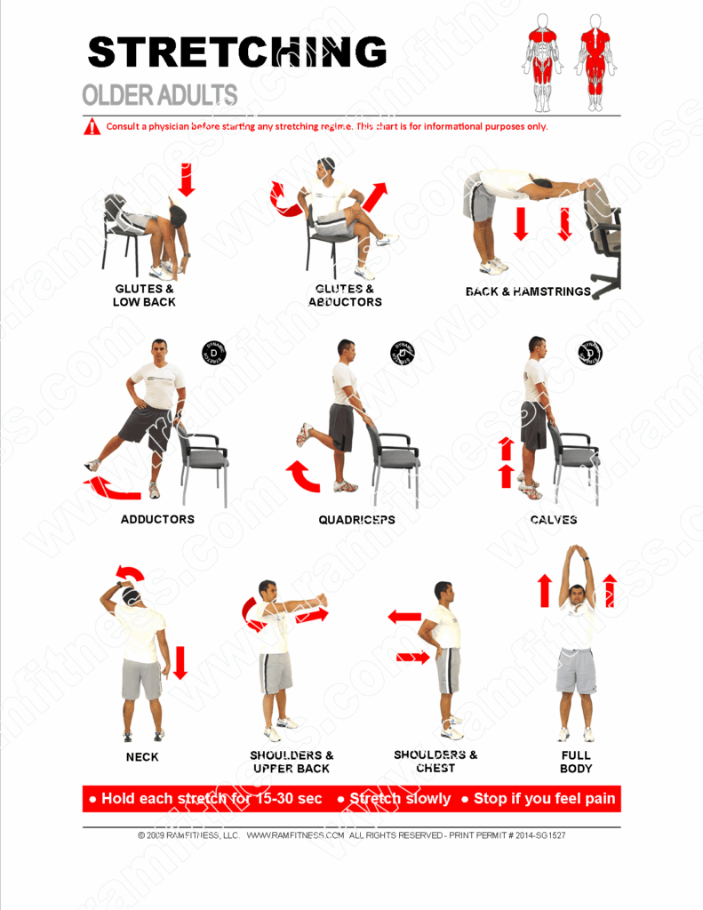 Hamstring Stretches For Seniors Pdf NSPDD