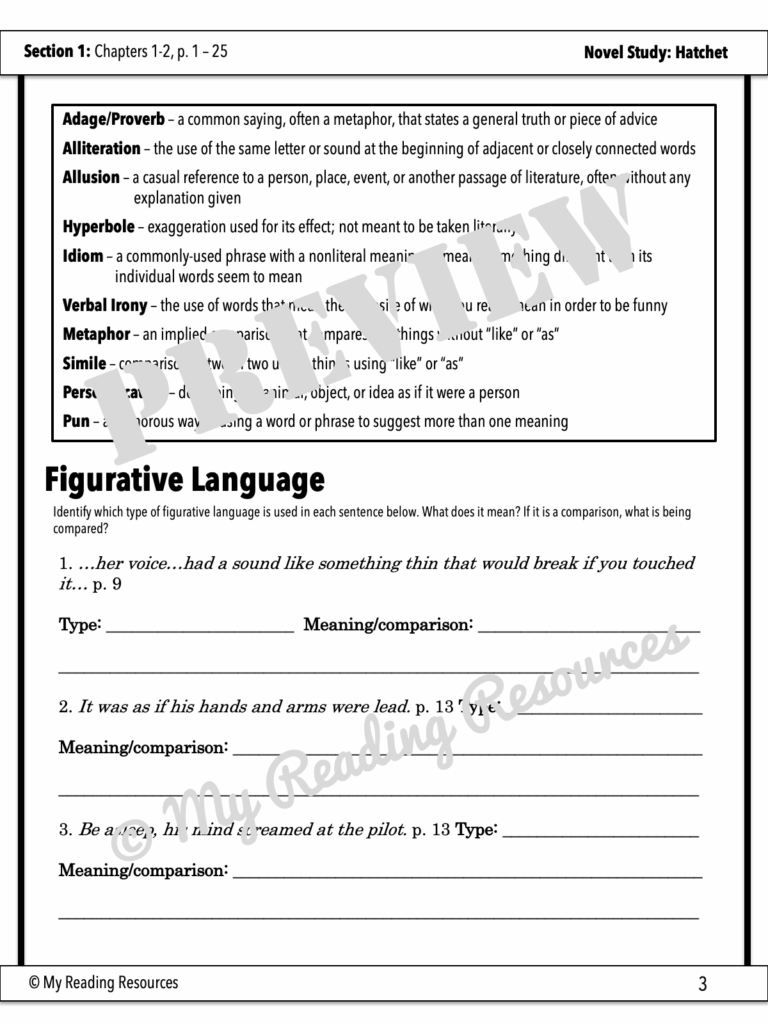 Hatchet Common Core Comprehension Questions With Vocabulary Worksheets Library