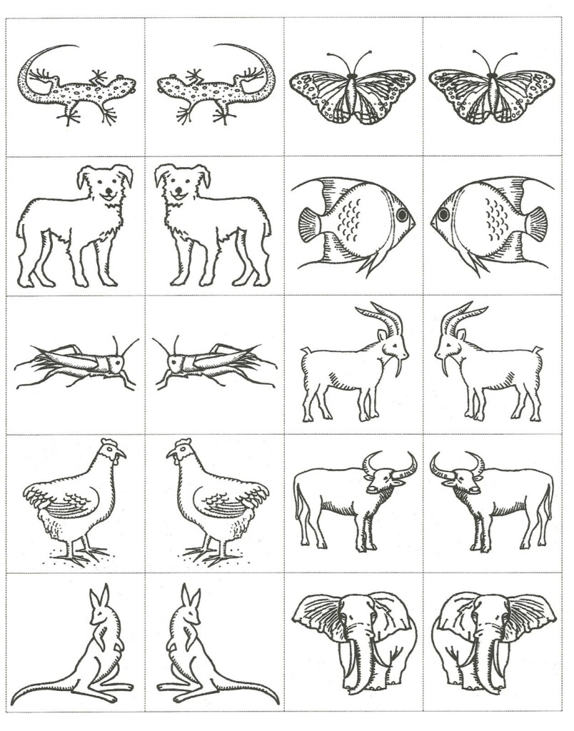 Noah S Ark Animals Printables Printable Word Searches