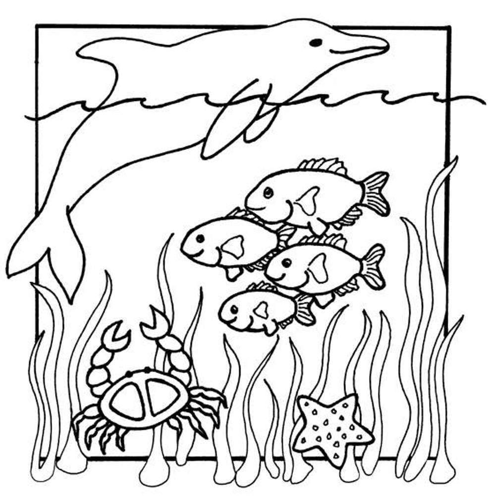 Ocean Life Coloring Pages At GetColorings Free Printable Colorings Pages To Print And Color