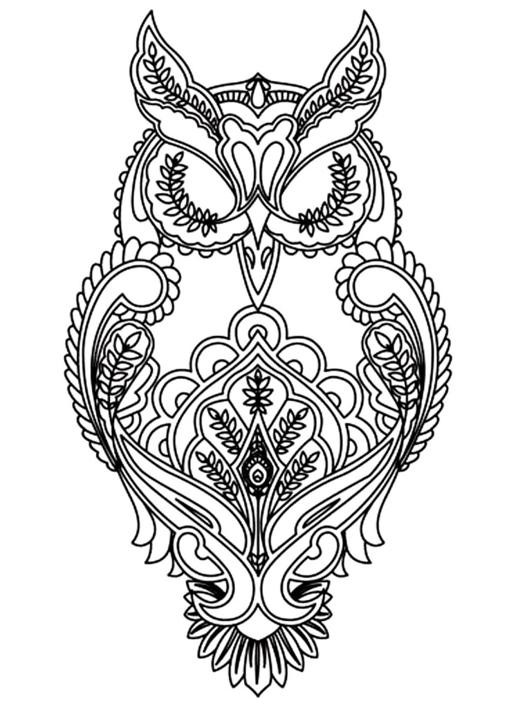 Owl Coloring Page To Print Owls Coloring Pages For Kids