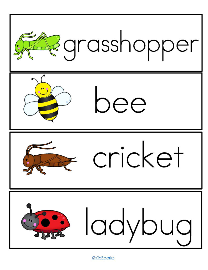 Preschool Bug Theme Printables