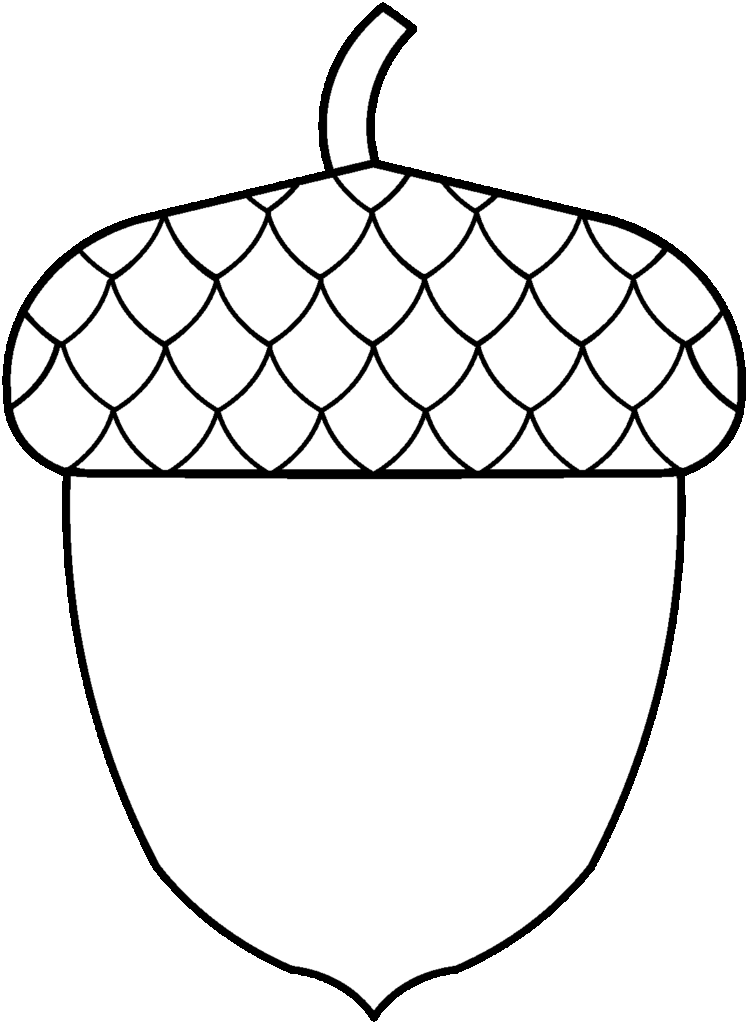 Printable Acorn Template