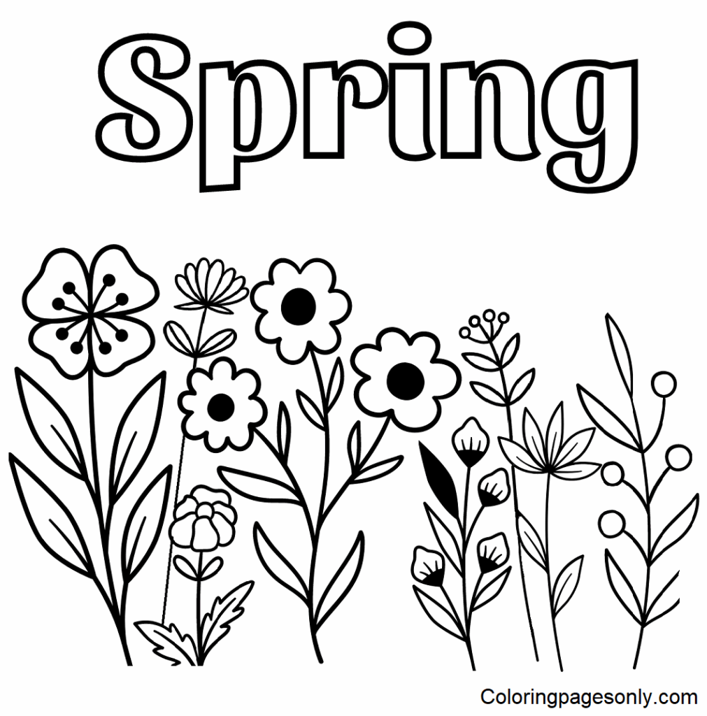 Printable Coloring Pages Of Spring Flowers Coloring P Vrogue co