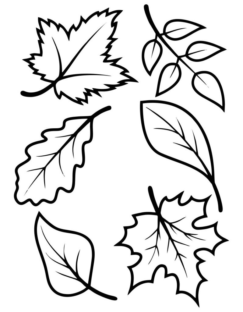 Printable Fall Templates