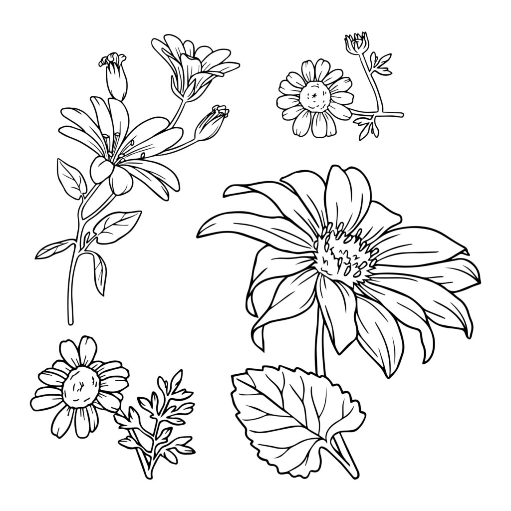 Printable Wood Burning Patterns Printable Word Searches