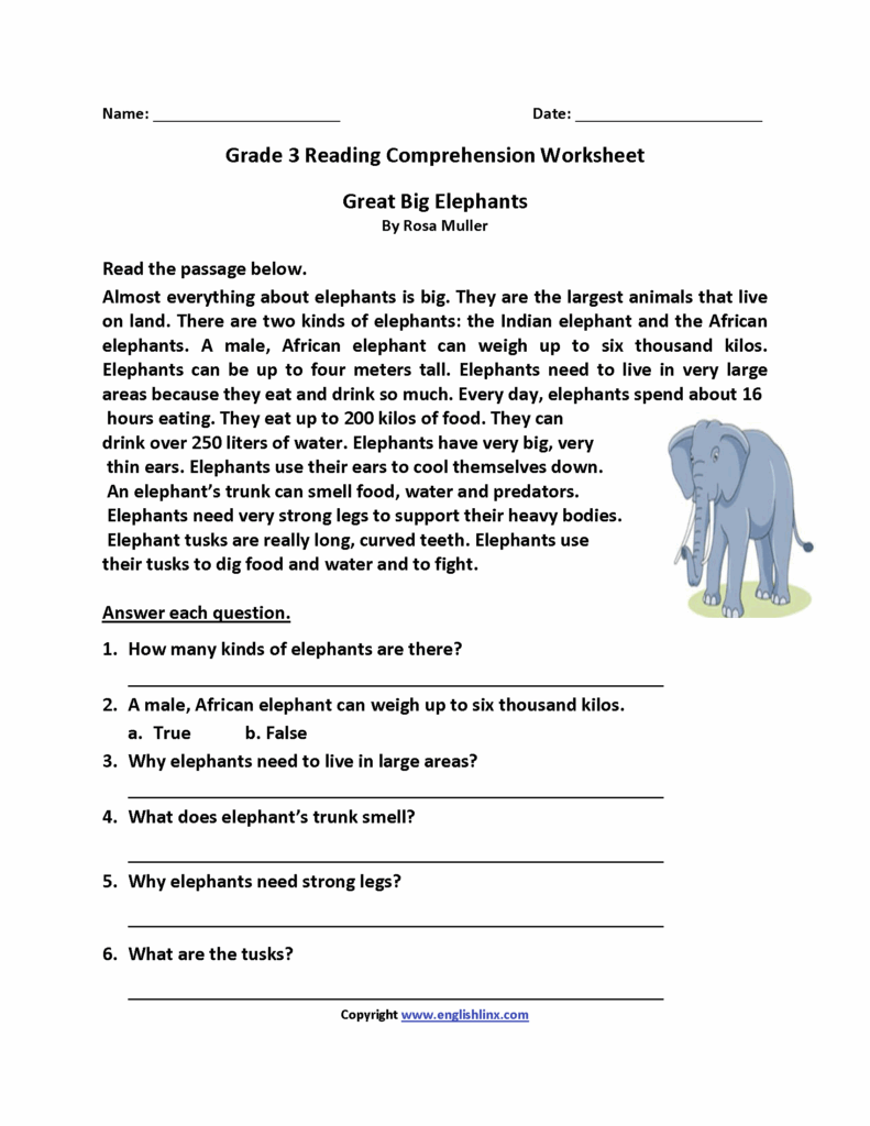 Reading Activities For Third Graders