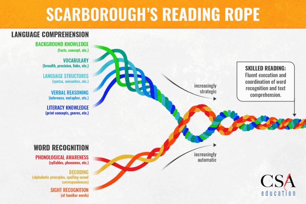Scarborough S Reading Rope Printable Printable Word Searches