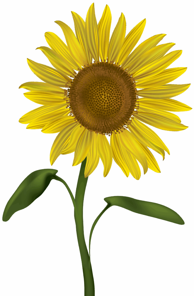 Sunflower Clip Art Free Printable Free Clipart Clip Art Library My Porn Sex Picture