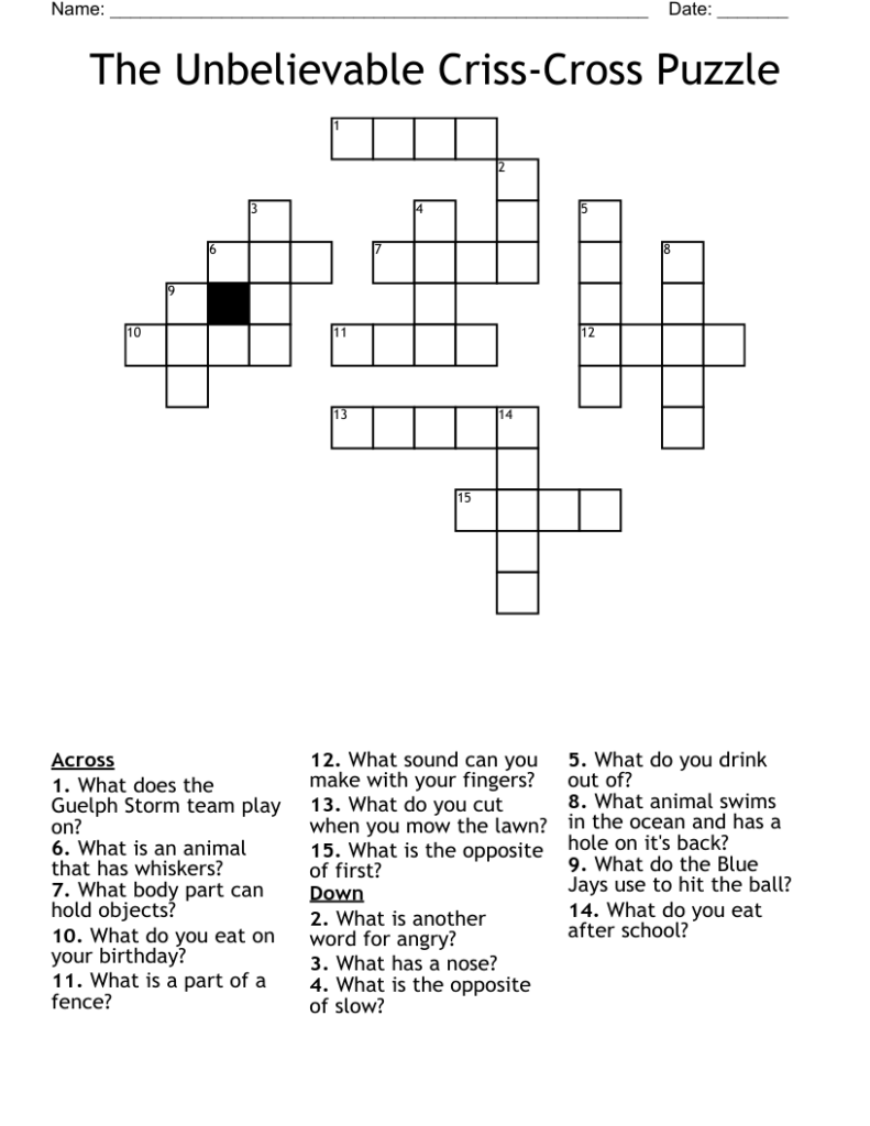 The Unbelievable Criss Cross Puzzle Crossword WordMint
