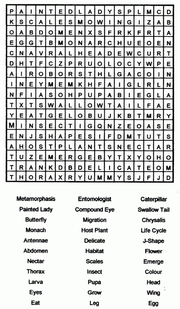 Word Search Large Print Printable Customize And Print